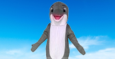 dolphin mascot costume