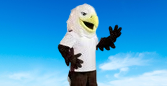 hawk mascot costume