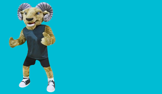 sport mascot costume